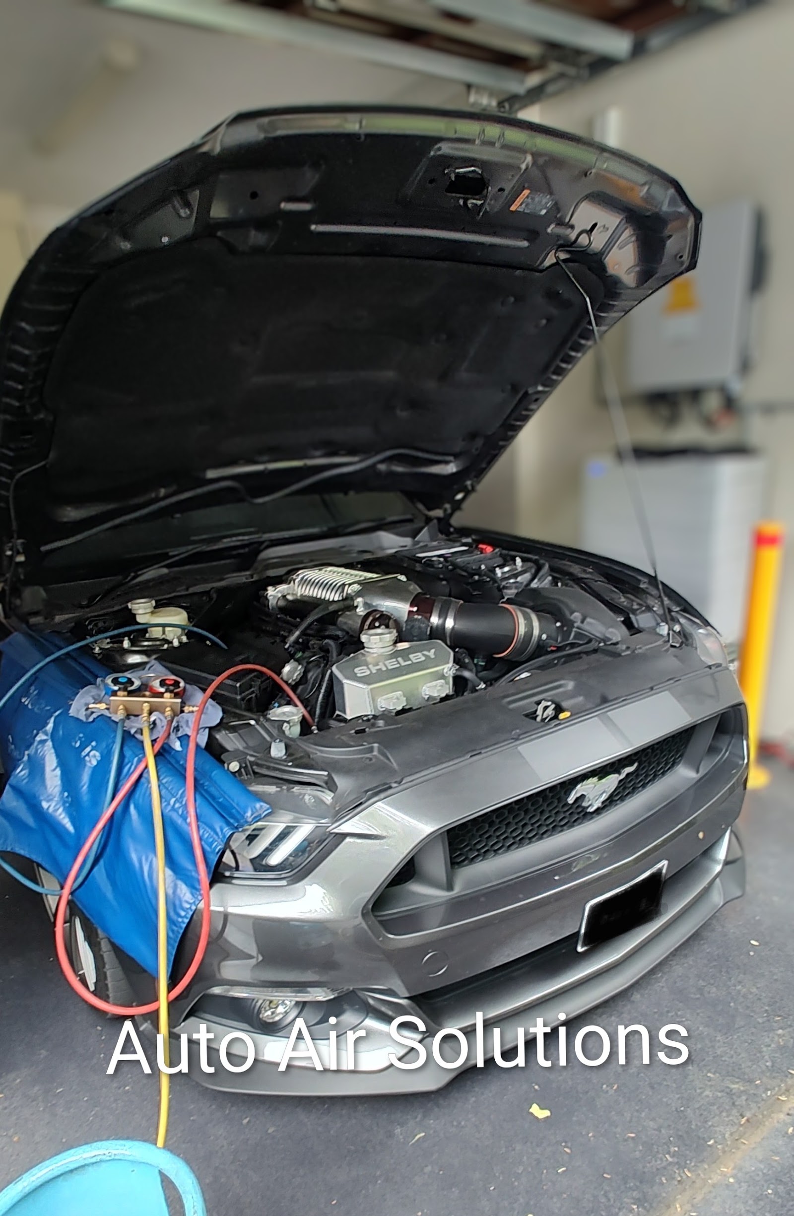 A/C regas on a supercharged Ford Mustang Shelby